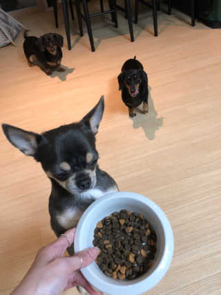 리안님이 올린 리뷰 사진 1