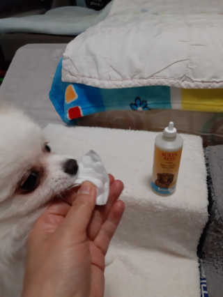 부산댁님이 올린 리뷰 사진 3