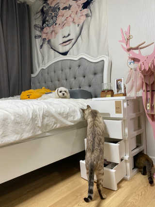 H님이 올린 리뷰 사진 3
