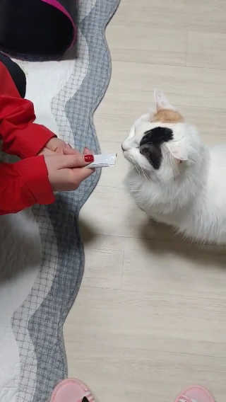 리쩡님이 올린 리뷰 사진 4