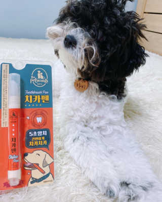 더펫원츠 [5초양치] 멍.치카펜 or 냥.치카펜 or 치카오일펜 — 4점을 준 리뷰어가 2020년 9월 올린 사용 사진