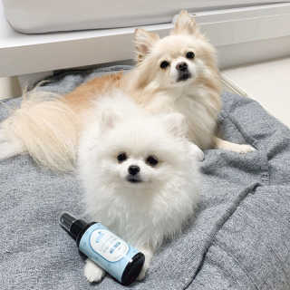 콩두부자매님이 올린 리뷰 사진 1