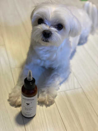칸쵸님이 올린 리뷰 사진 4