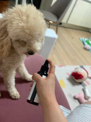 leah님이 올린 리뷰 사진 3