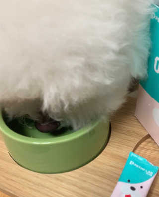 펫시랩 반려견용 액상 프리바이오틱스 아쿠아펫 — 5점을 준 리뷰어가 2020년 11월 올린 사용 사진