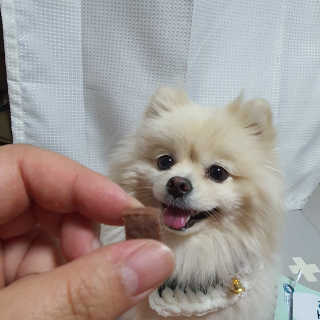My Pet Care 천연단백질 눈건강에 개좋아 — 5점을 준 리뷰어가 2020년 12월 올린 사용 사진