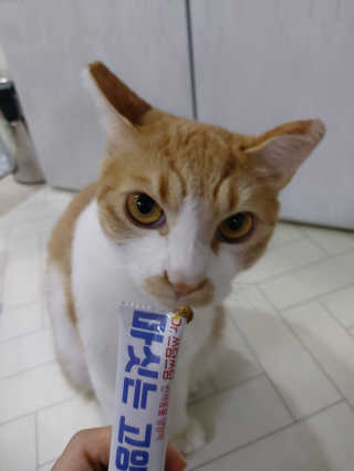 귤양님이 올린 리뷰 사진 1