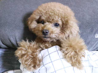최정임님이 올린 리뷰 사진 2
