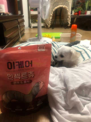 지니야님이 올린 리뷰 사진 1