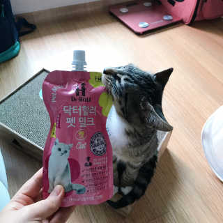 쎄미님이 올린 리뷰 사진 2