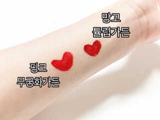 [블랙루즈] 에어 핏 벨벳 틴트 시즌6 5종 중 택1+랜덤1 — 5점을 준 리뷰어가 2020년 6월 올린 사용 사진