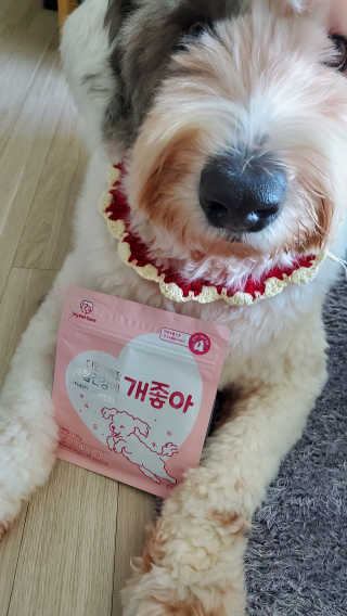 My Pet Care 천연단백질 관절건강에 개좋아 — 5점을 준 리뷰어가 2020년 12월 올린 사용 사진