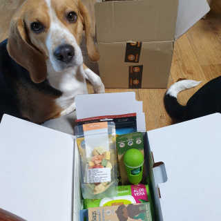 beaglelove님이 올린 리뷰 사진 1