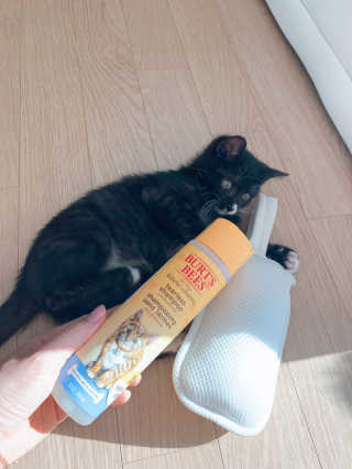 오둥이맘님이 올린 리뷰 사진 1