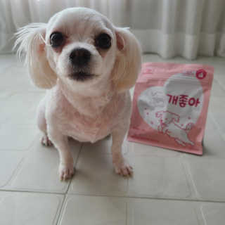 My Pet Care 천연단백질 관절건강에 개좋아 — 5점을 준 리뷰어가 2020년 12월 올린 사용 사진