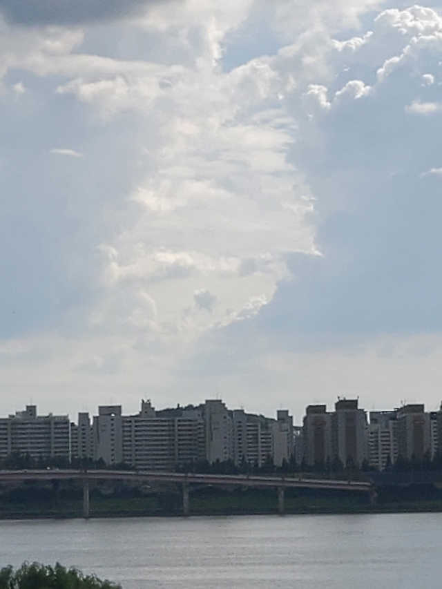 모링가20티백 인디아박스 리뷰 사진