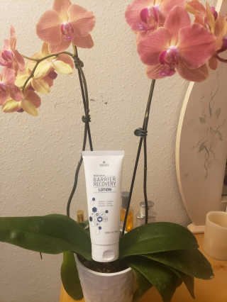 트리티스 [TREATIS] Barrier Recovery Lotion 200ml — 3.5점을 준 리뷰어가 2020년 9월 올린 사용 사진