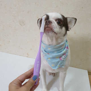 mini unni님이 올린 리뷰 사진 2