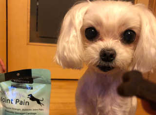 빼곰님이 올린 리뷰 사진 3