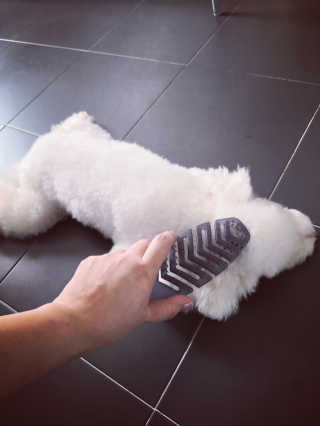 SunmerYang님이 올린 리뷰 사진 1