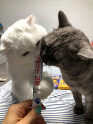 지연님이 올린 리뷰 사진 1
