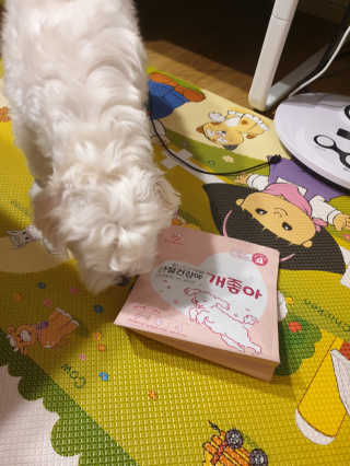 My Pet Care 천연단백질 관절건강에 개좋아 — 5점을 준 리뷰어가 2020년 11월 올린 사용 사진