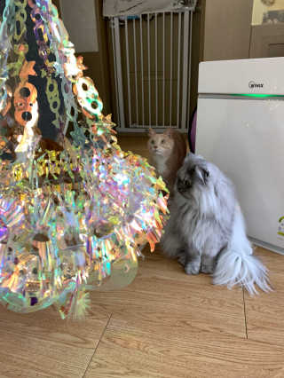 선짱님이 올린 리뷰 사진 1