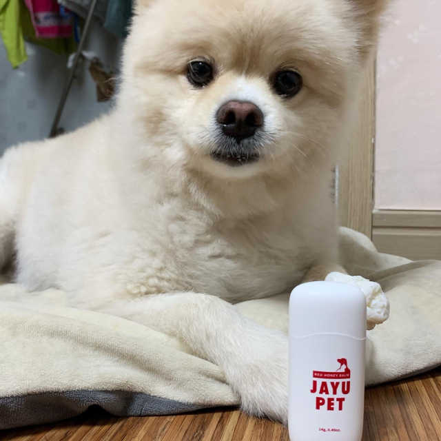 [레드허니밤]자유펫 고양이 강아지 발바닥 밤 14g 리뷰 사진