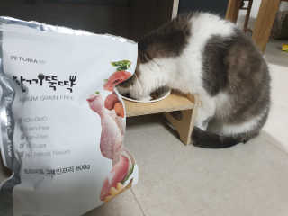 필쏘굿님이 올린 리뷰 사진 4