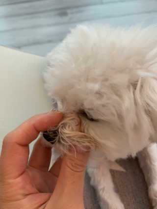 큐티윤님이 올린 리뷰 사진 3