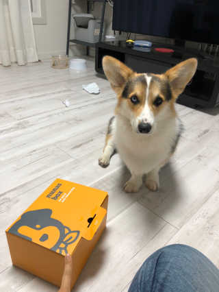 호두맞팔해요님이 올린 리뷰 사진 1