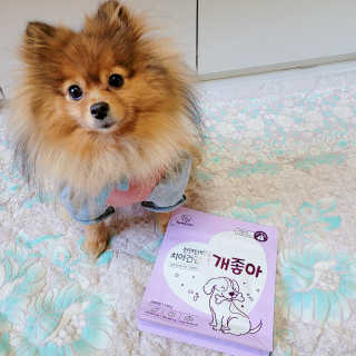 My Pet Care 천연단백질 치아건강에 개좋아 — 5점을 준 리뷰어가 2020년 11월 올린 사용 사진