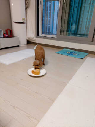 몽이님이 올린 리뷰 사진 3