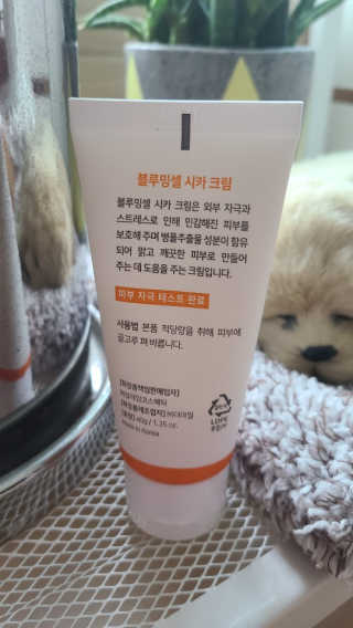 sunny님이 올린 리뷰 사진 2