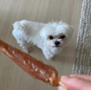 janoo11님이 올린 리뷰 사진 3