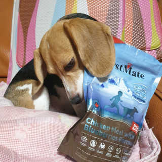 beaglelove님이 올린 리뷰 사진 1
