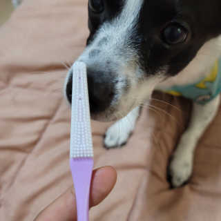 노이님이 올린 리뷰 사진 4