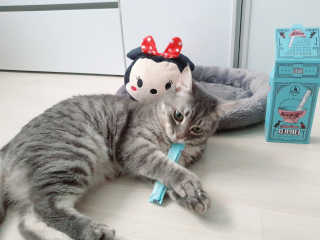 Jihanette님이 올린 리뷰 사진 3