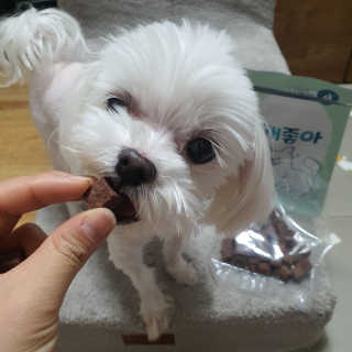 My Pet Care 천연단백질 눈건강에 개좋아 — 5점을 준 리뷰어가 2020년 12월 올린 사용 사진