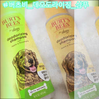 제제님이 올린 리뷰 사진 1