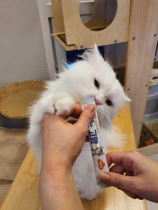 검은기름님이 올린 리뷰 사진 2