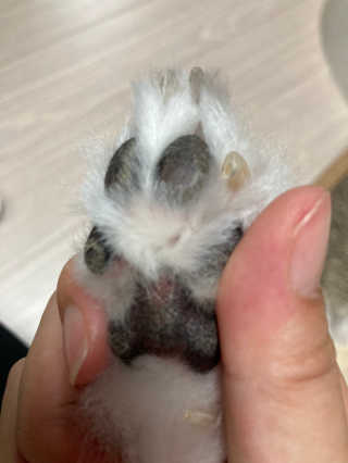 인이님이 올린 리뷰 사진 3