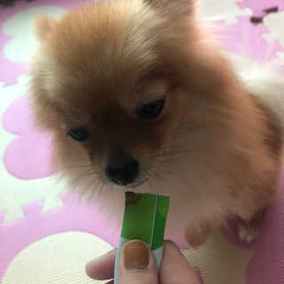 SoHeeYoo님이 올린 리뷰 사진 3