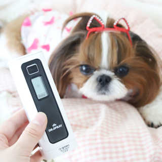 yhoo0509님이 올린 리뷰 사진 2