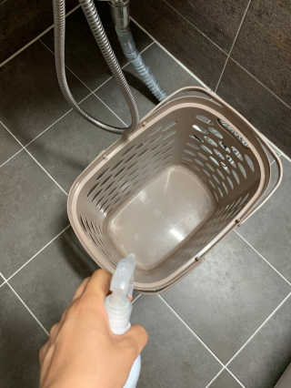 보님이 올린 리뷰 사진 3