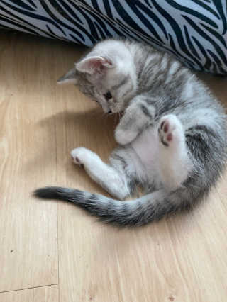 내리소님이 올린 리뷰 사진 4