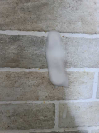검은낙타님이 올린 리뷰 사진 4