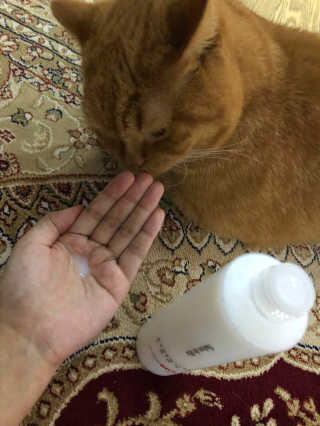 syjuknow님이 올린 리뷰 사진 2