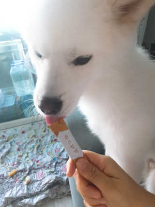 kay님이 올린 리뷰 사진 2