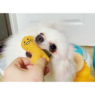 심쿵해에님이 올린 리뷰 사진 1